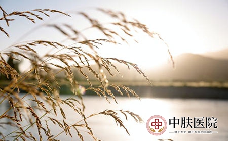 济南银屑病医院 (99)