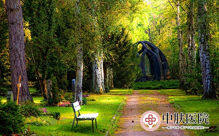 济南银屑病医院 (172)