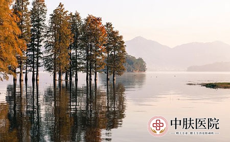 济南银屑病医院 (126)
